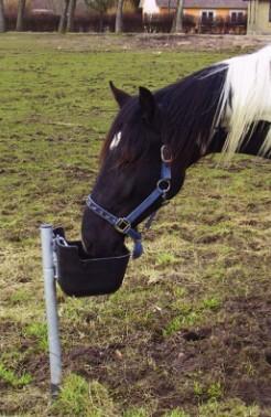 Frostfri drikkeautomat til k&oslash;er og heste - 80 cm